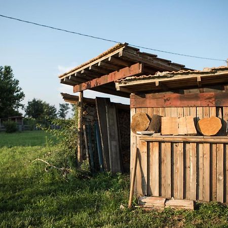 B&B Casa Campagnari Roverbella Bagian luar foto