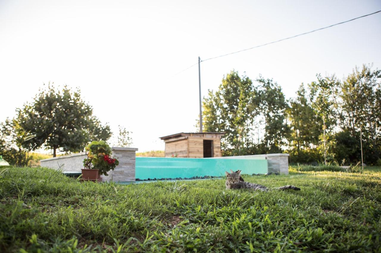 B&B Casa Campagnari Roverbella Bagian luar foto